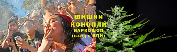 шишки Богородицк