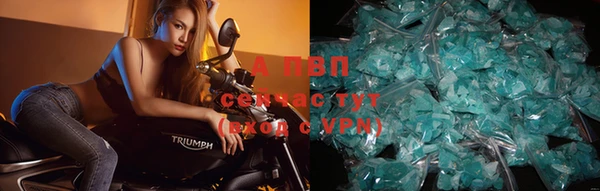 винт Богданович