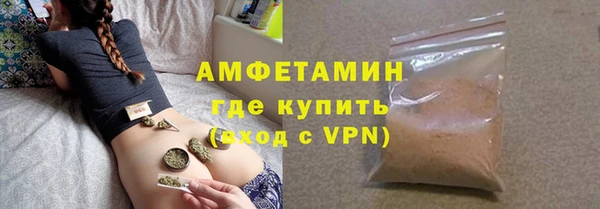 шишки Богородицк
