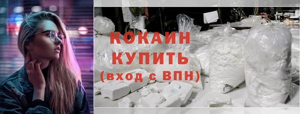 шишки Богородицк
