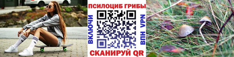 Псилоцибиновые грибы мухоморы  Купить закладки  Сенгилей 